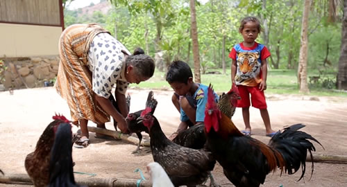 Church World Service