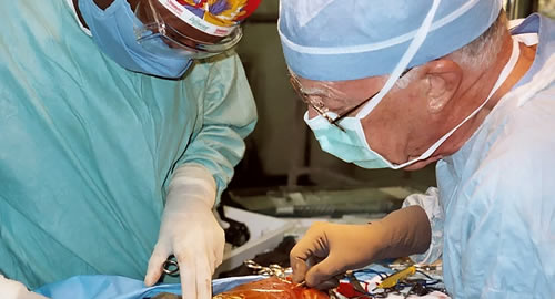 IHCF/African Christian Hospitals